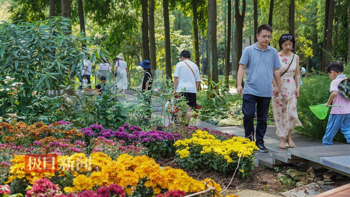 新葡萄最新官网